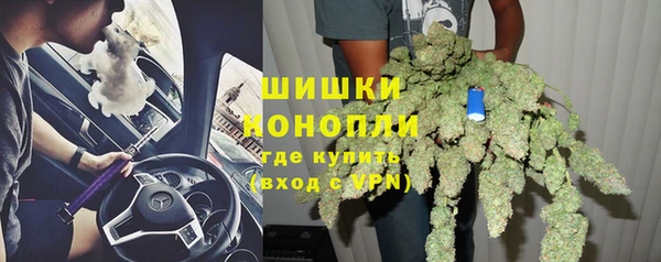 альфа пвп Новодвинск