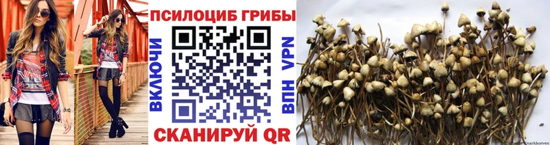 наркота  Куйбышев  Галлюциногенные грибы Psilocybine cubensis 
