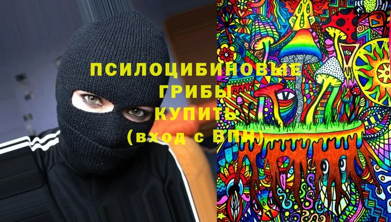 Псилоцибиновые грибы мухоморы  Куйбышев 